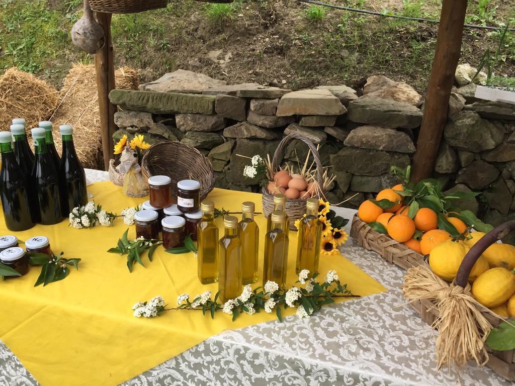 Primaluce Alloggio per agriturismo *